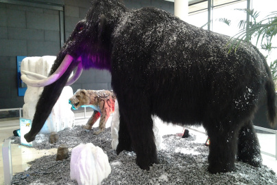 Les animaux de l'ère de glace à Vélizy 2