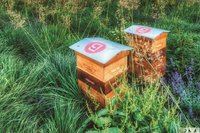 Beaugrenelle vend son miel