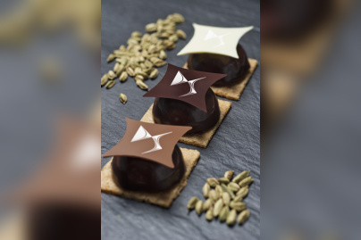 Le Chef Damien au DS World