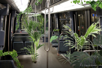 Nuit Blanche 2018 : des métros transformés en jungle