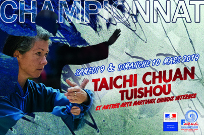 Championnat de taichi chuan, tuishou et autres martiaux chinois à Paris