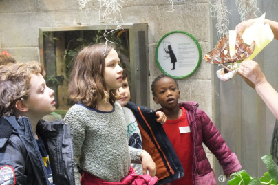 vacances de Noël 2019 : stage pollinisateurs en herbe à Clichy-la-Garenne