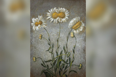 Laurent Grasso au Musée d'Orsay