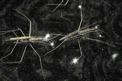 Nuit Blanche 2020 au Musée Bourdelle