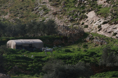 Nuit Blanche 2020 à la Villa Vassilieff