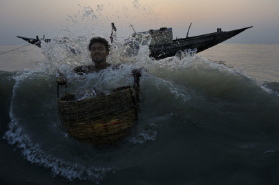 exposition Photo par Nature Jardin des Plantes, exposition photo jardin des Plantes juin 2012, exposition Xavier Desmier paris juin 2012, exposition Xavier Desmier Jardin des Plantes | Pecheurs Dubla ©Xavier-Desmier