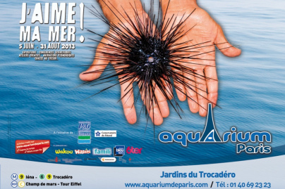 exposition J'aime ma mer à l'Aquarium de Paris