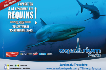 exposition A la rencontre des requins à l'Aquarium de Paris