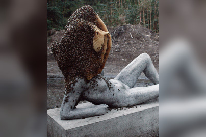 exposition Pierre Huyghe au Centre Pompidou