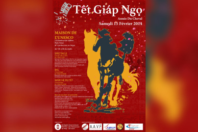 Le Nouvel An Vietnamien 2014 à l'Unesco à Paris