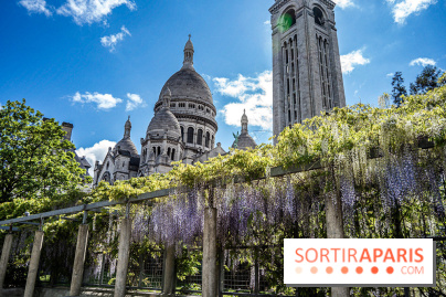 Ou voir les plus belles glycines de Paris, les spots incontournables et cachés - square Marcel Bleustein Blanchet