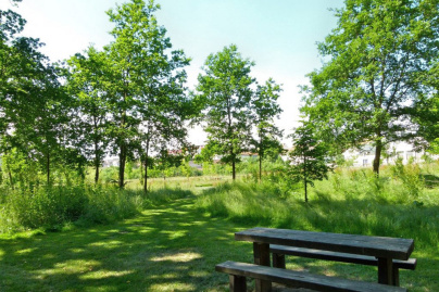 Rendez-vous aux Jardins 2019 au Parc de Groussay