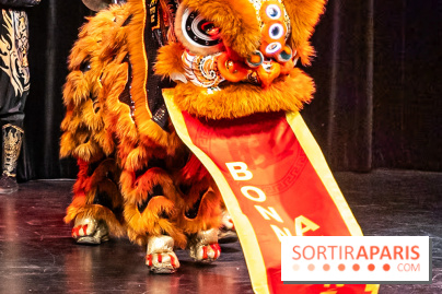 Nouvel an chinois - lunaire au Musée Cernuschi 2025 : un week-end d'animations gratuites