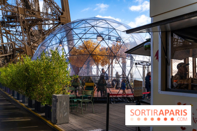 Bulle d'automne de la tour Eiffel : arbre géant et jeu grandeur nature au sommet de Paris