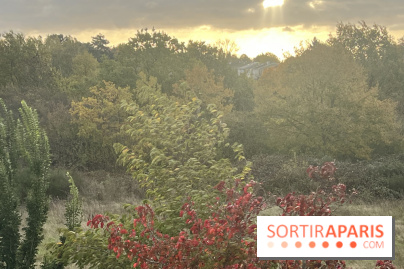 Tempête Benjamin : parcs et jardins fermés en Île-de-France