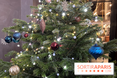 Le Marché de Noël de Thoiry 2025 - 78