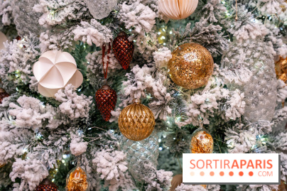 Ce Marché de Noël en Essonne promet chocolat chaud et passage du Père Noël avec ses rennes