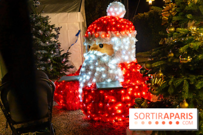 Un charmant village de noel dans le Val d'Oise ce week-end avec patinoire gratuite