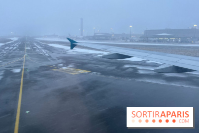 Neige à Paris : 15% des vols supprimés dans les aéroports parisiens ?