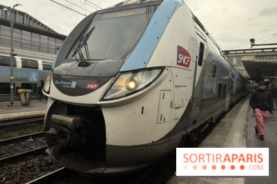 Transports à Paris et en Île-de-France : les perturbations de cette semaine avec la neige et le verglas