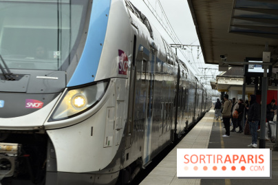 Transports à Paris et en Ile-de-France : les perturbations RER, métro du 26 janvier au 1er février