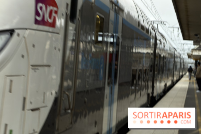 Transports à Paris et en Ile-de-France : les perturbations RER, métro du 9 au 15 février