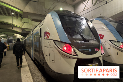 Transports à Paris et en Ile-de-France : les perturbations RER, métro du 16 au 22 février