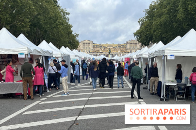 Brocantes et vide-greniers des Yvelines ce week-end dans le 78