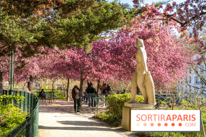 Fête de la Nature à Paris et en Ile-de-France 2026 : les bons plans gratuits des 20 ans