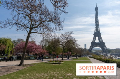 Les cerisiers du Trocadéro fleurissent avec de l'avance en ce printemps 2026