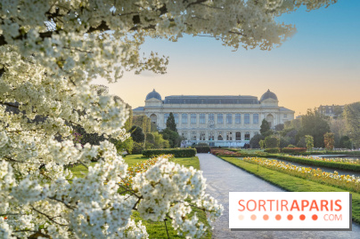 Quelle météo cette semaine à Paris du 30 mars au 6 avril 2026 ? 