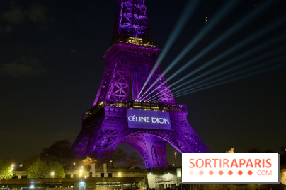 Céline Dion en concert à Paris La Défense Arena : dates, prévente... tout ce qu'il faut savoir