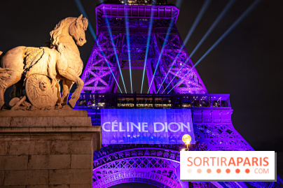 Concert de Céline Dion : 9 millions de pré-inscriptions, un record !