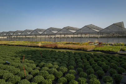 Val d'Oise : des milliers de plantes aux Portes ouvertes du centre Horticole du Grand Paris