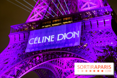 Céline Dion en concert à Paris, pourquoi la jaune est réduite ? 