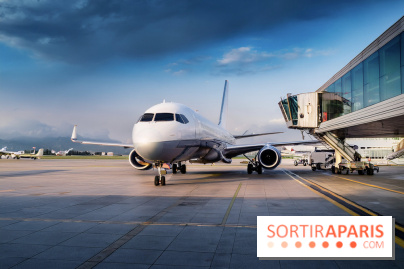 Vols annulés Transavia en mai et juin 2026 : êtes-vous concerné et que faire ?