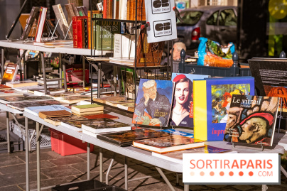 Seine-et-Marne : Brocantes et vide greniers du 77 ce week-end prolongé du 8 au 10 mai 2026
