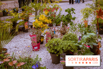 Jardins en fête à Auvers 91