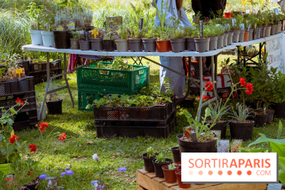 Les Naturiales 2026 à Fontainebleau : marché de plantes et animations nature en Seine-et-Marne