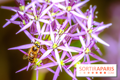 La Fête de la Nature et du bien-être animal vous attend ce samedi en Val-de-Marne