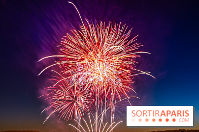 Seine-et-Marne, les feux d'artifice du 14 juillet interdits dans les zones sensibles