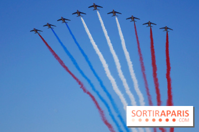 Patrouille de France et défilé aérien, les meilleurs spots pour bien les voir ce 14 juillet