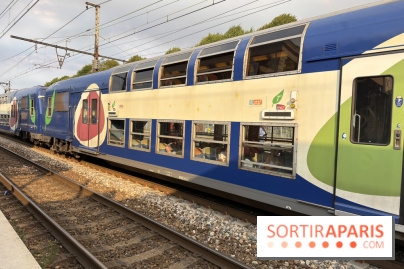 Transports Paris Île-de-France : perturbations métro et RER du 20 au 26 juillet 2026