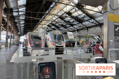 Manifestation du 31 octobre : gares du Nord et de Lyon sous protection