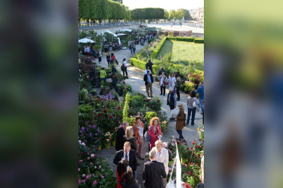 Jardins, jardin 2015 aux Tuileries 
