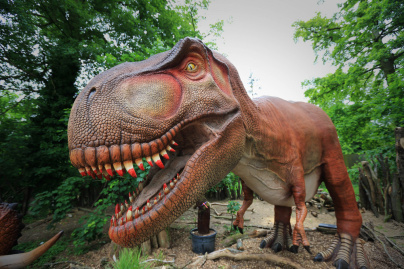 Les nocturnes du DinoZOOre au Zoo de Thoiry