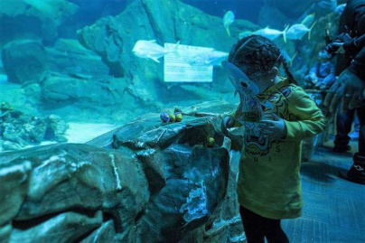 Chasse aux oeufs de Pâques à l'Aquarium de Paris