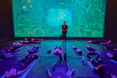 YogAquarium : du yoga en famille à l'Aquarium de Paris