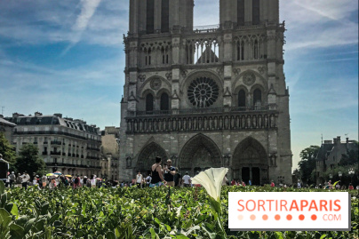 Réouverture du Parvis et de la rue du Parvis de Notre-Dame de Paris