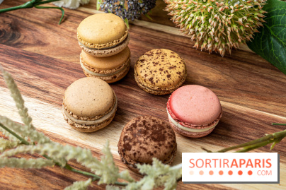 Jour du Macaron 2021 à Paris et en Ile de France 